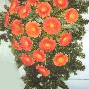 Bukette Katalog Nr.8