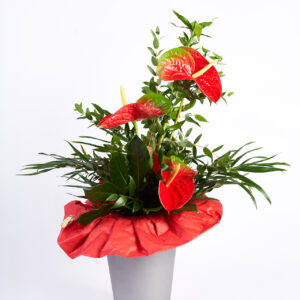 Hochstrauß mit Anthurien in rot ( je nach Lagerung können Blumen und Farben variieren)