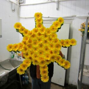 Sonderformen Katalog Nr.66