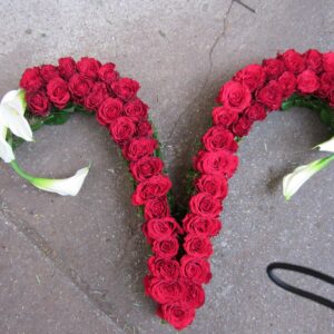 Sonderformen Katalog Nr.76