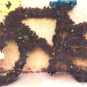 Sonderformen Katalog Nr.79